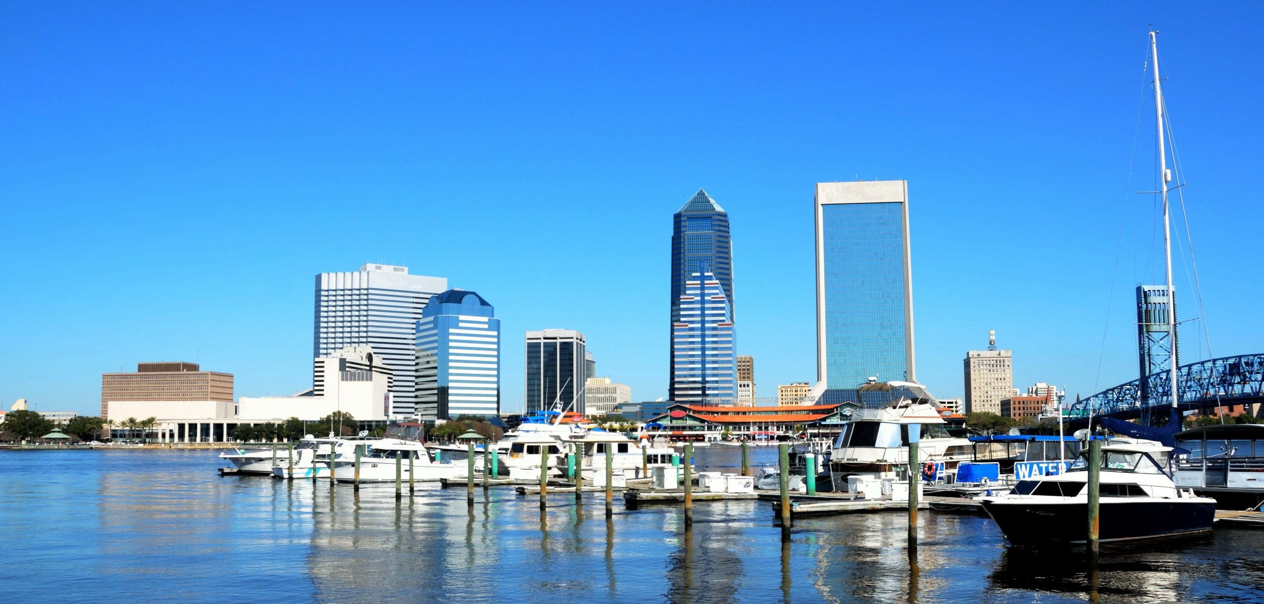 The Top Cruise Shore Excursions in Jacksonville, Florida