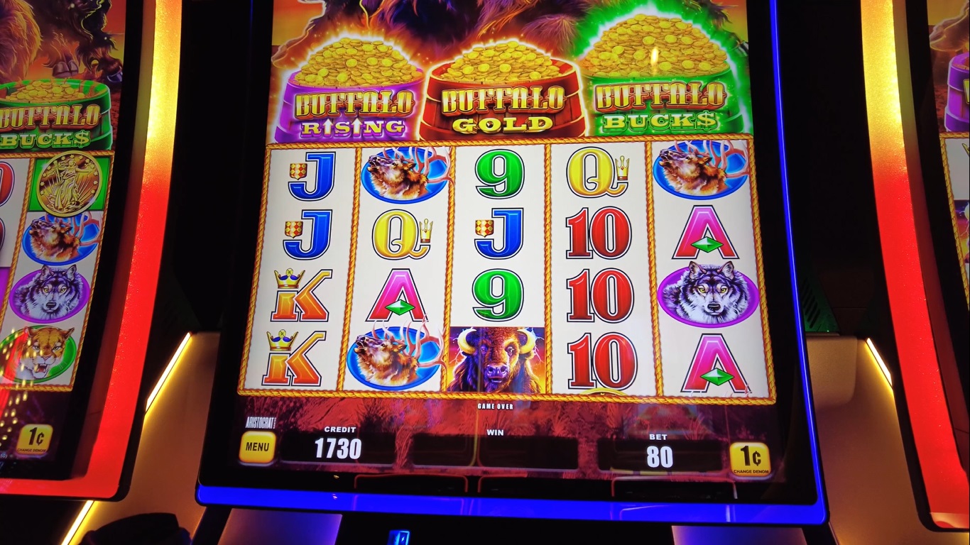 Cruise Ship Casinos - Can We Hit Buffalo Rising/Buffalo Bucks on Buffalo Triple Power Slot with $20?
